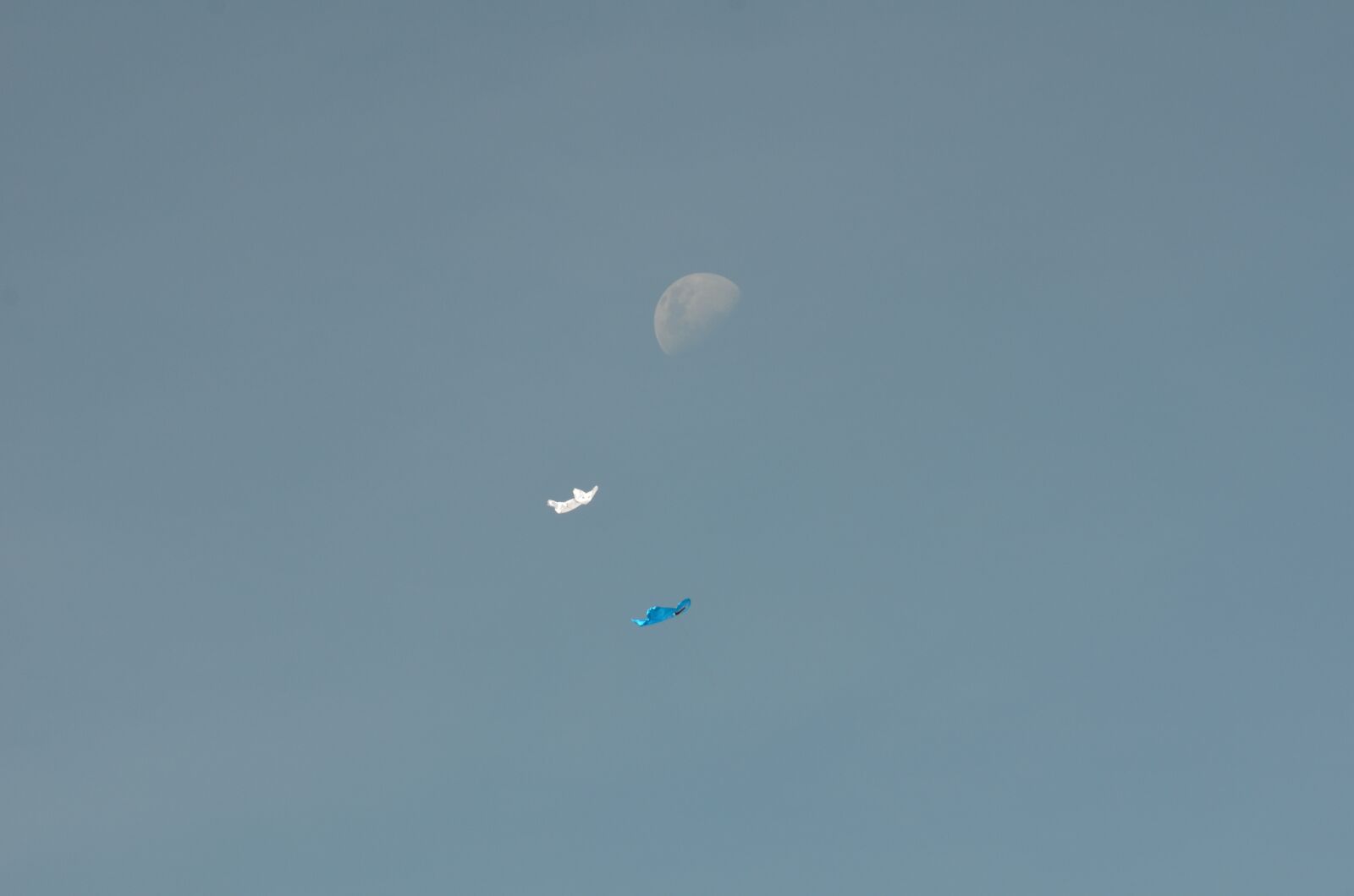 Nikon D7000 sample photo. Bali, kites, moon photography