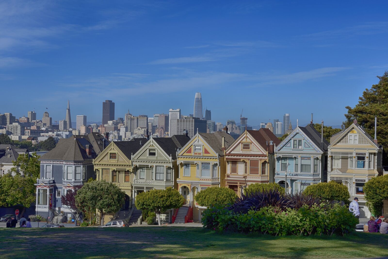 Nikon D7200 sample photo. Painted ladies, san francisco photography