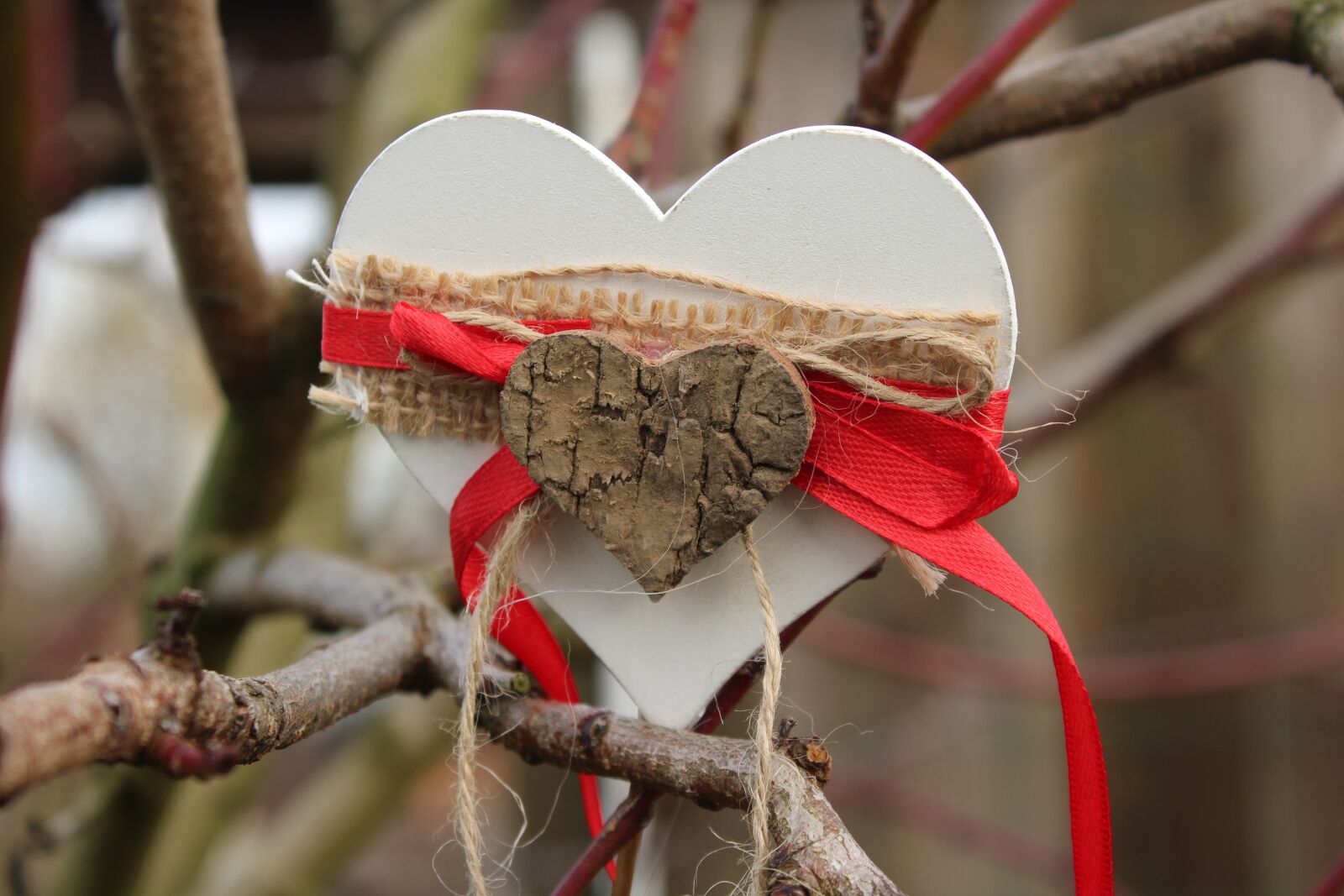 Canon EOS 1200D (EOS Rebel T5 / EOS Kiss X70 / EOS Hi) sample photo. Heart, decoration, nature photography