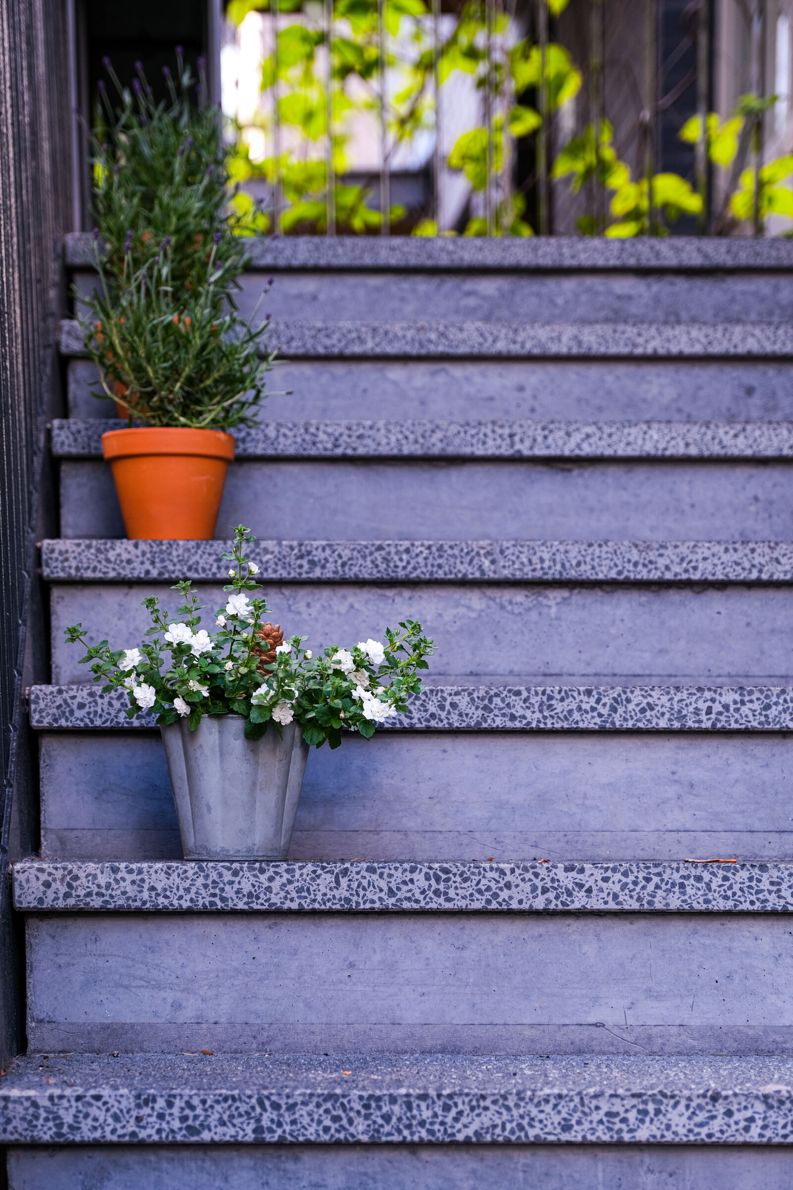 Fujifilm X-T4 sample photo. Staircase plantings photography