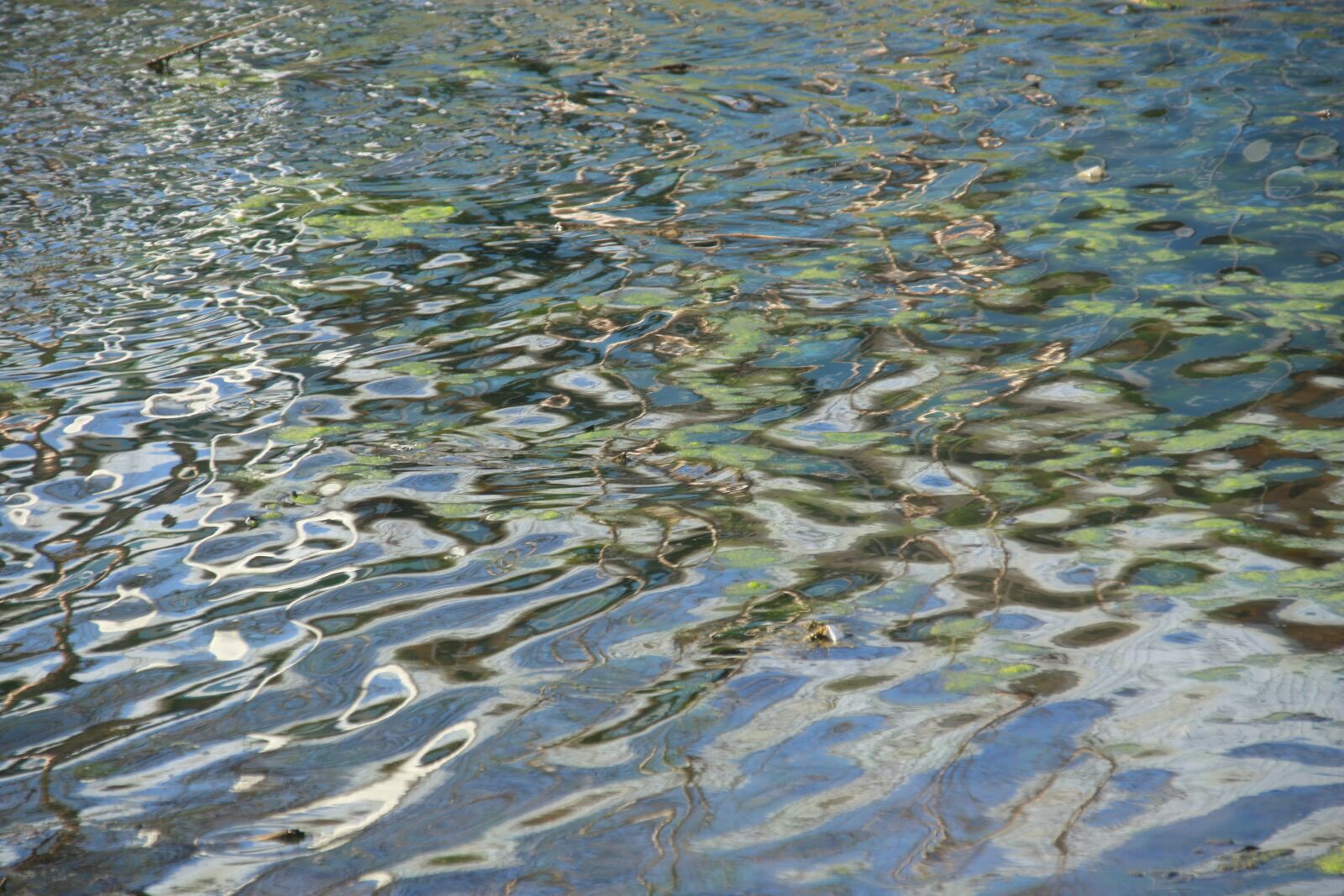Canon EOS 450D (EOS Rebel XSi / EOS Kiss X2) sample photo. Water, nature, outdoors photography