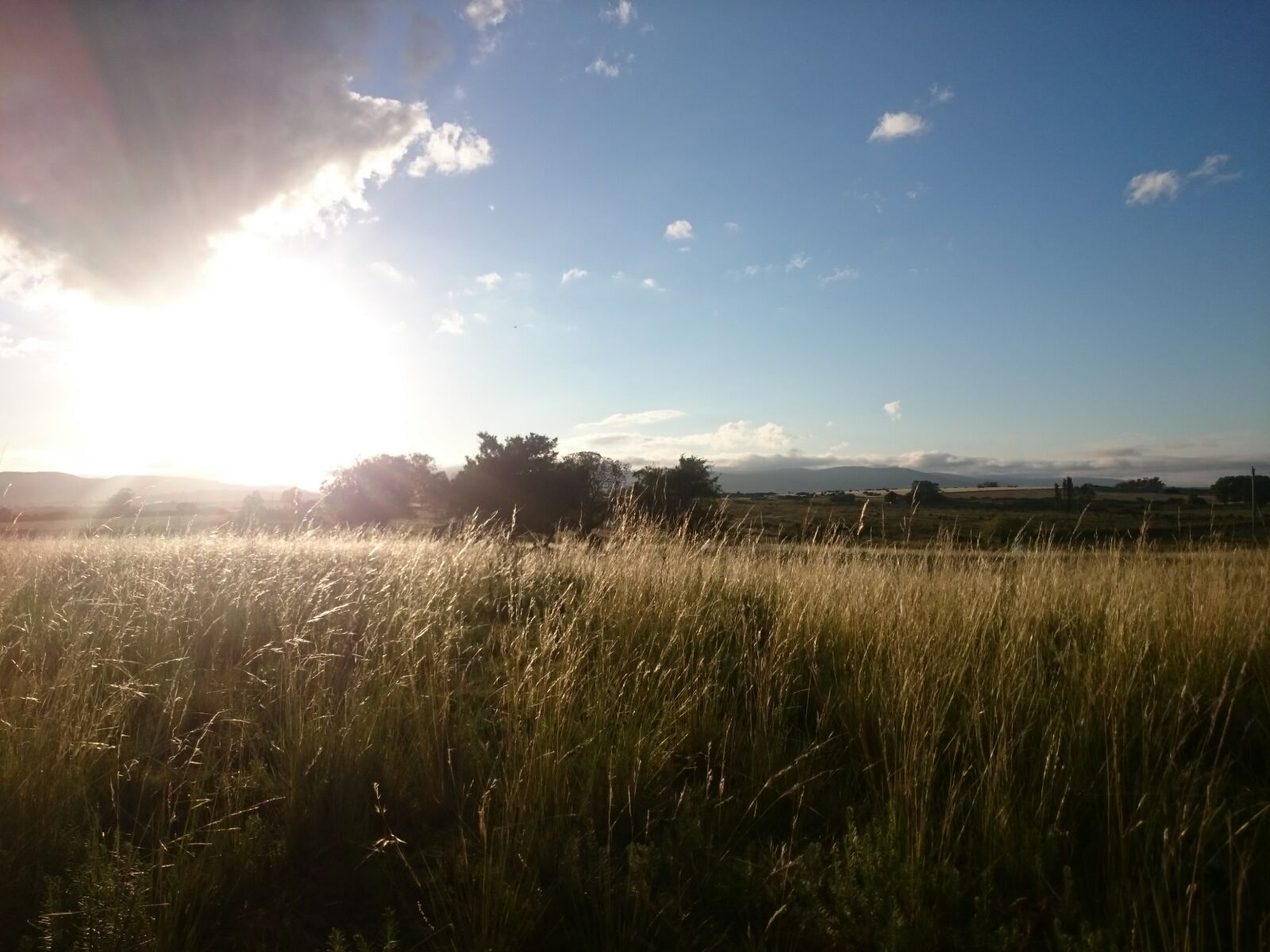 Sony Xperia Z1 sample photo. Blue, sky, cloudy, sky photography
