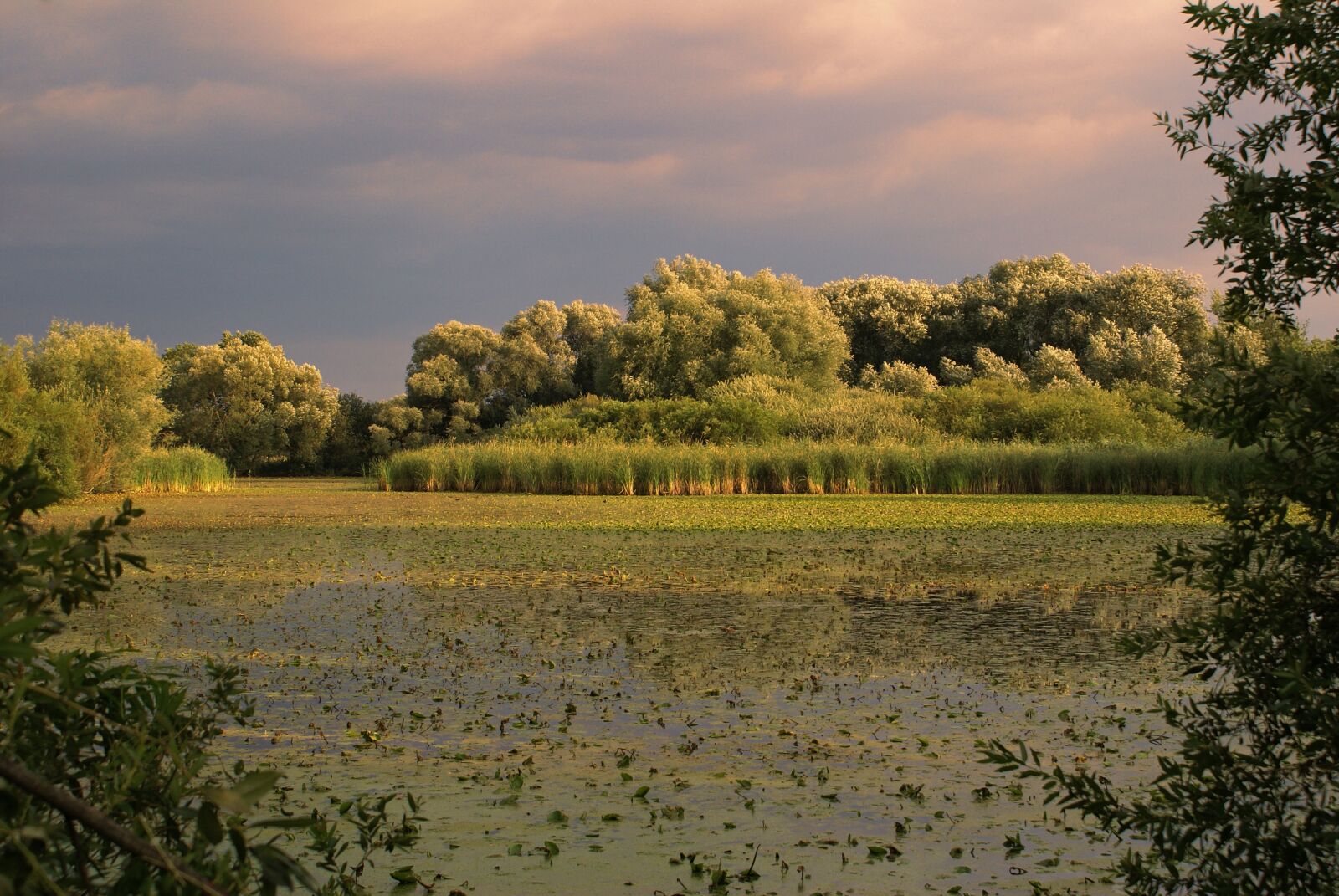 Sony Alpha DSLR-A100 sample photo. Nature, landscape, sky photography