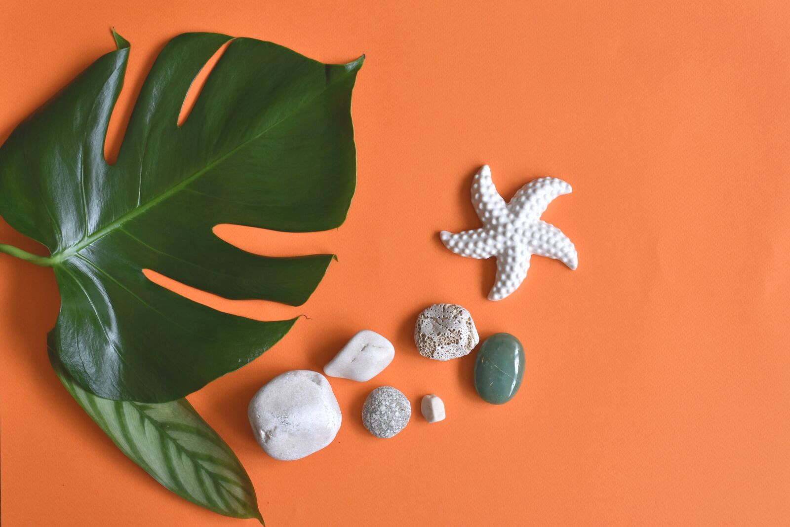 Nikon D3400 sample photo. Summer, pebbles, starfish photography