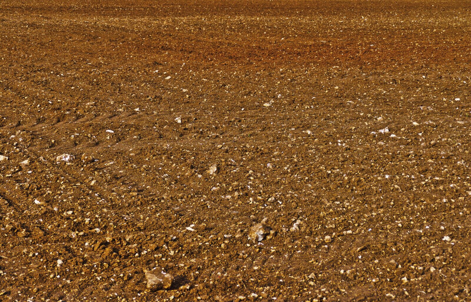 Panasonic Lumix DMC-FZ1000 sample photo. Field, arable, steinig photography