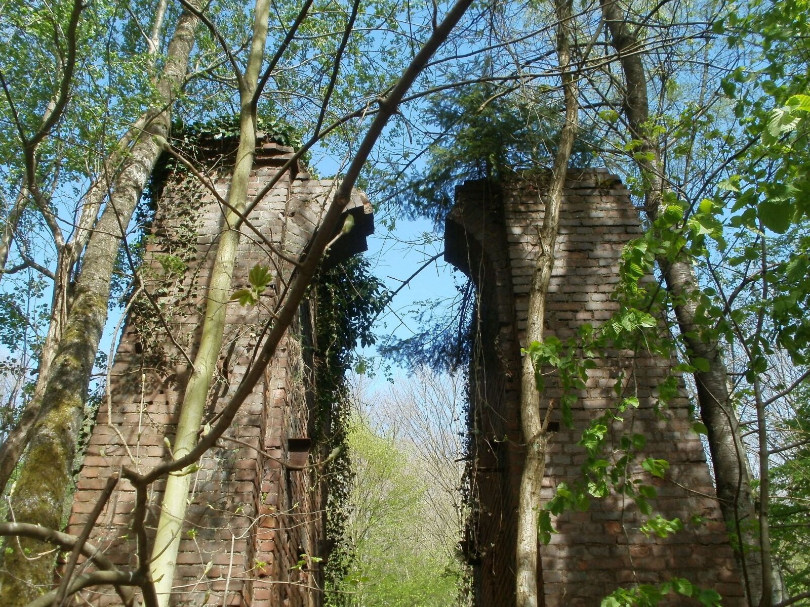 Olympus FE47,X43 sample photo. Heydt, schacht amelung, ruin photography
