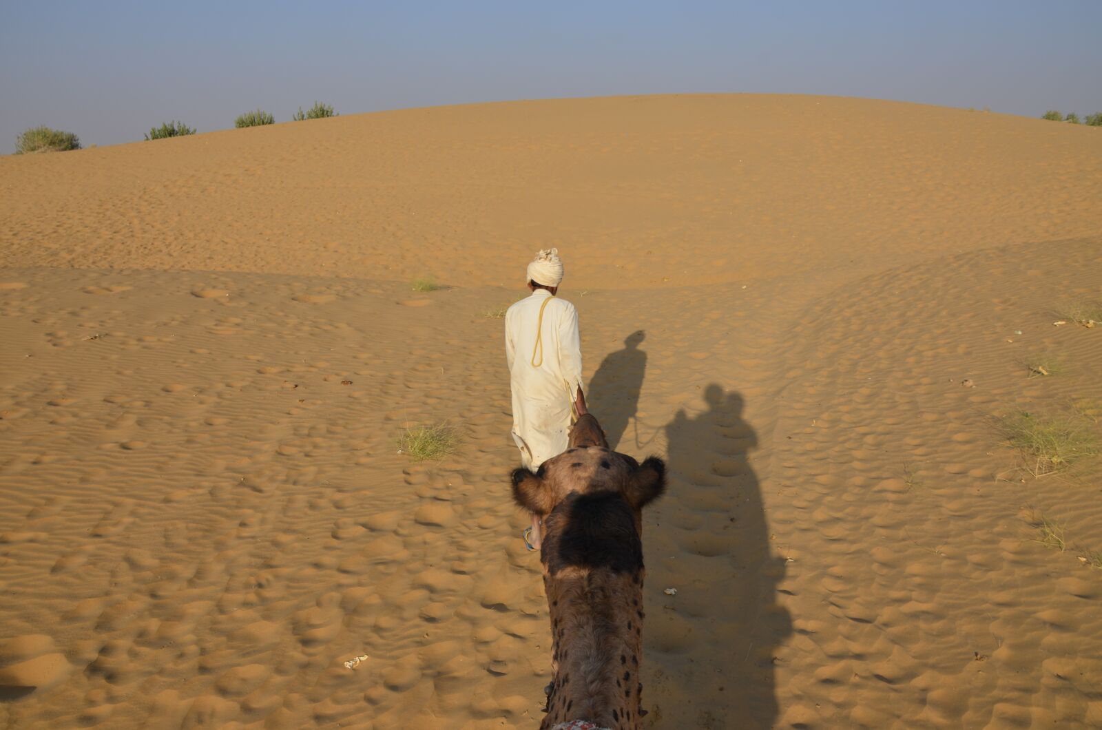 Nikon D5100 sample photo. Desert, sand, dry photography