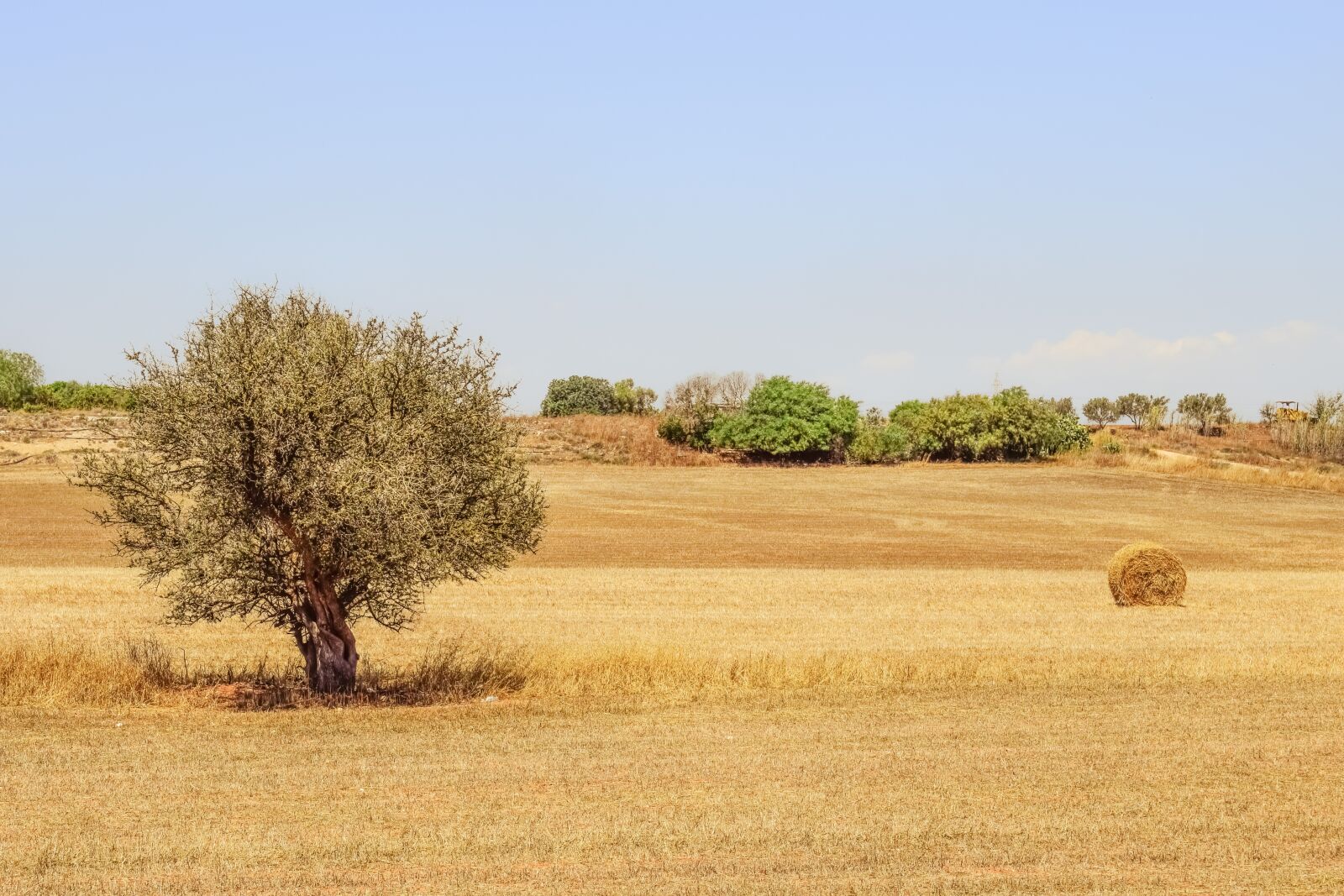 Nikon D3300 sample photo. Tree, hay, land photography