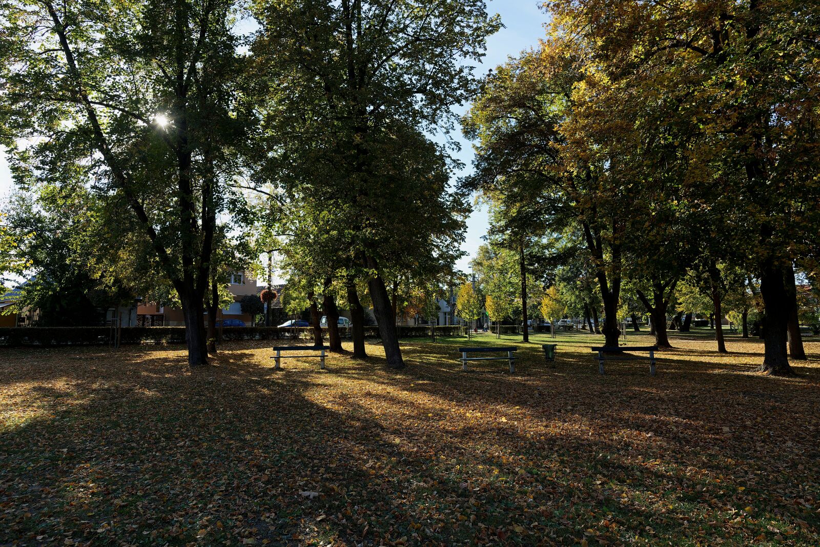 Nikon D7500 sample photo