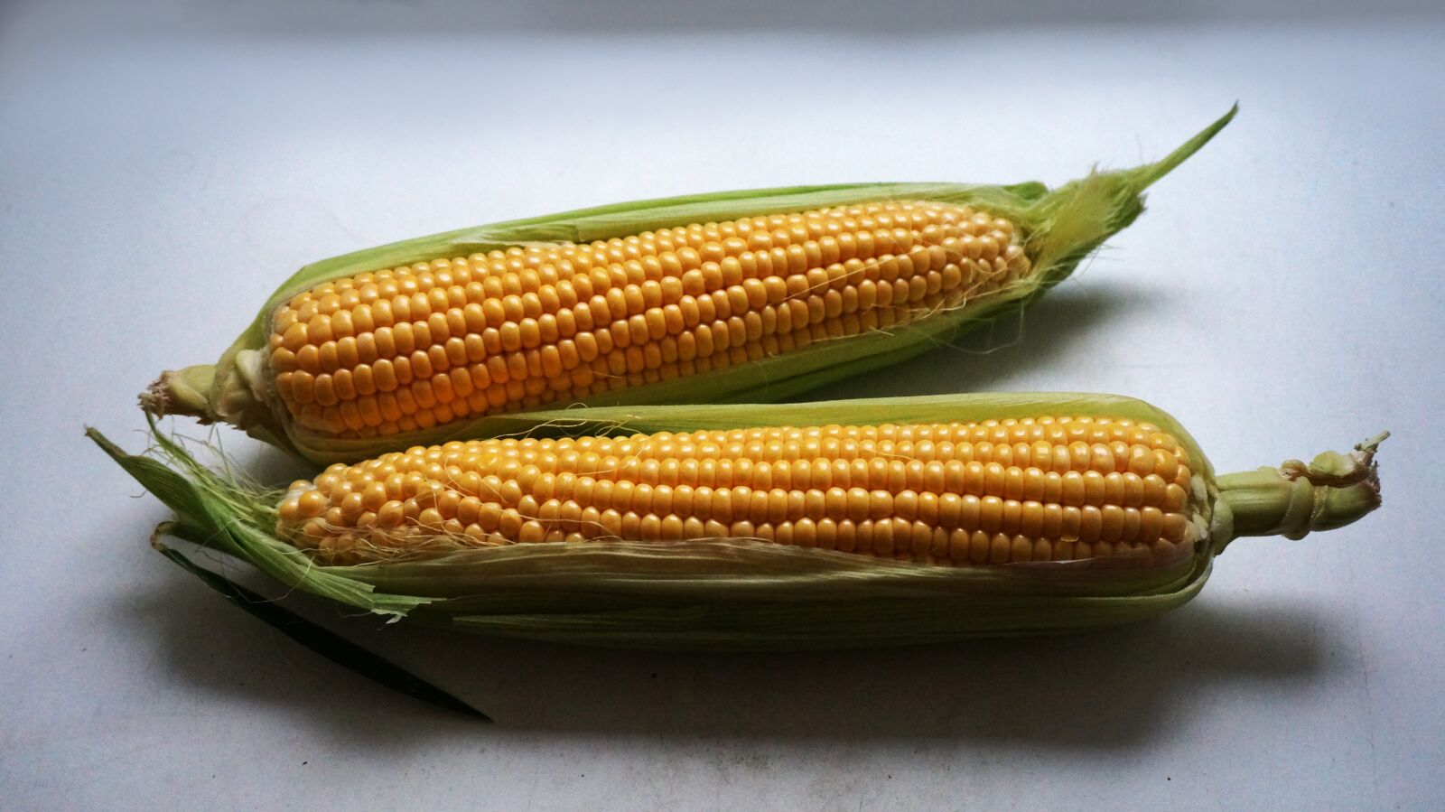 Sony Alpha NEX-5T sample photo. Ear of corn, leaves photography