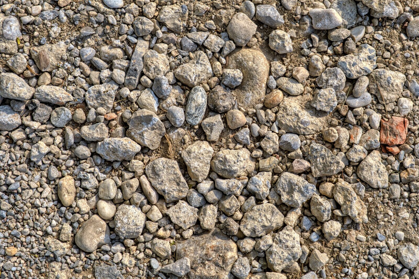 Nikon D7500 sample photo. Background, texture, pattern photography