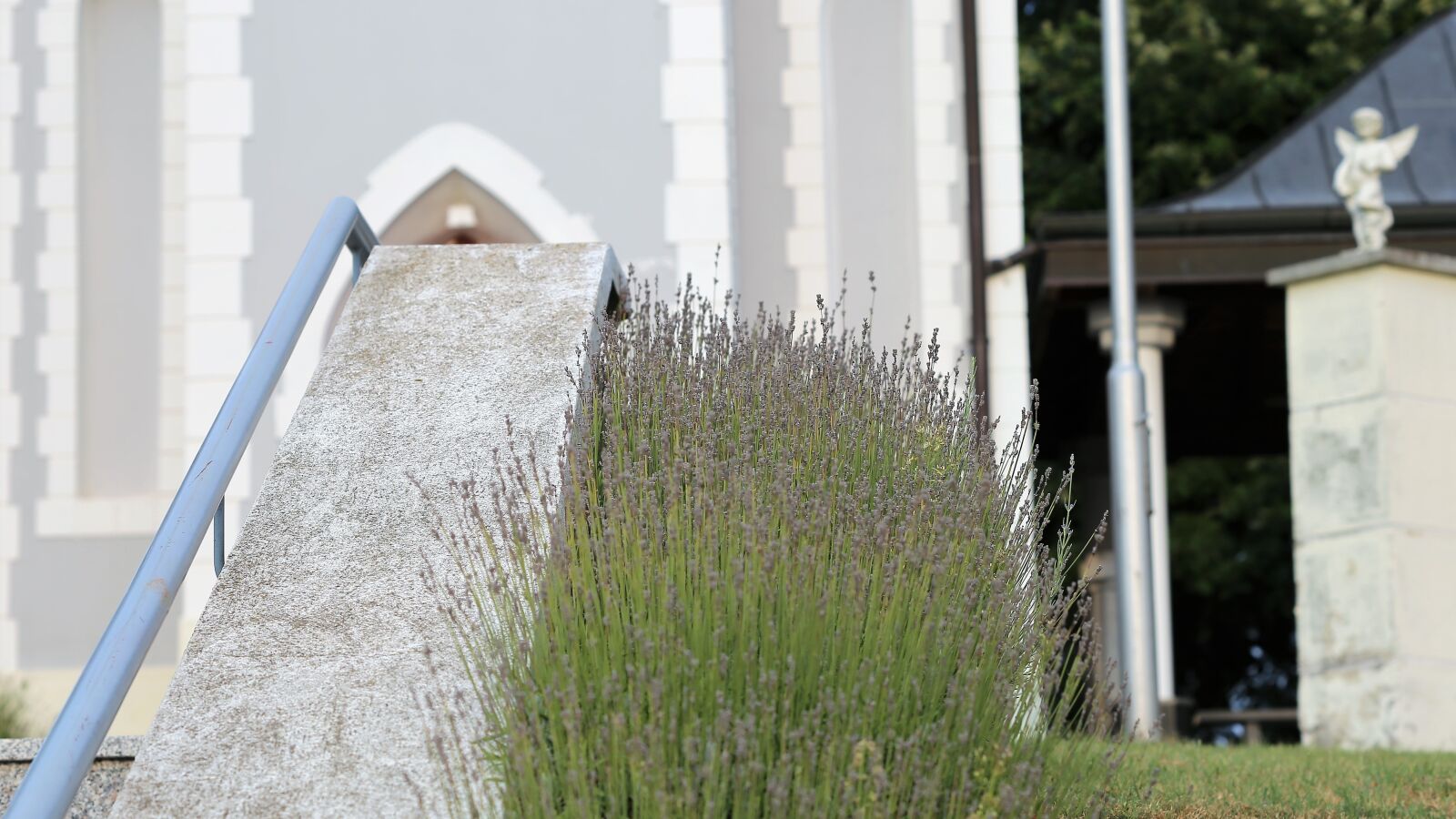 Canon EF 70-300 F4-5.6 IS II USM sample photo. Lavender row, flora, bloom photography