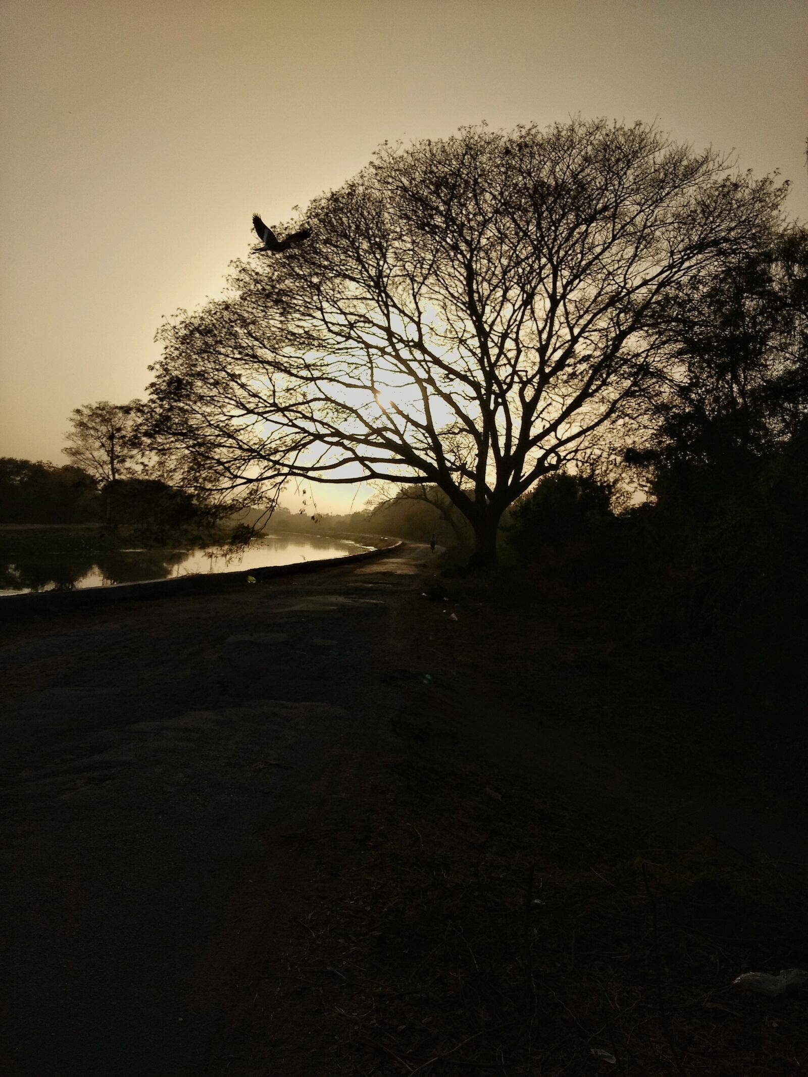 Motorola Moto G (4) sample photo