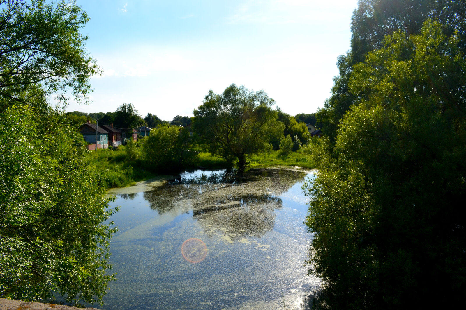 Nikon D3100 sample photo
