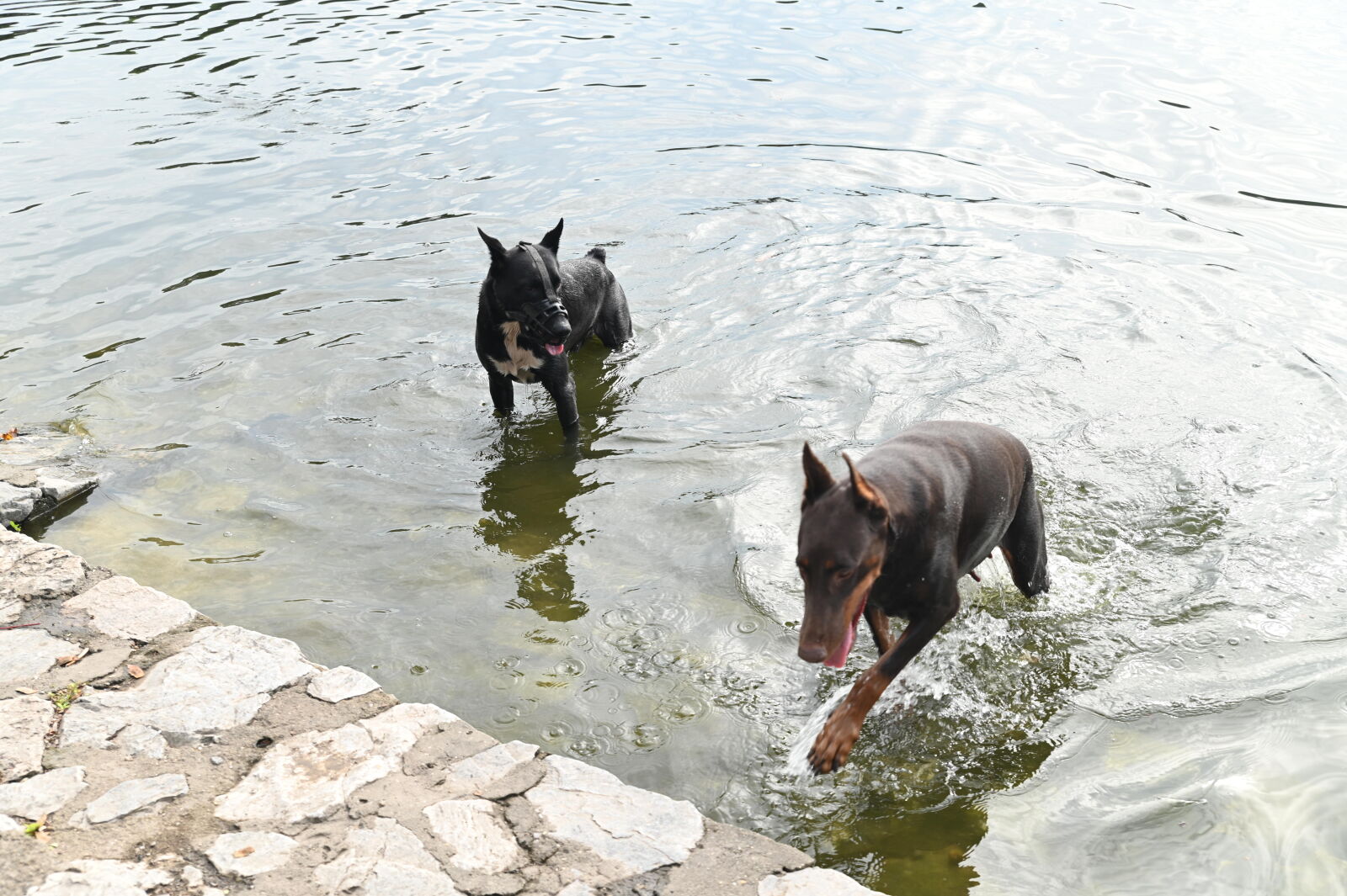 Nikon D780 sample photo
