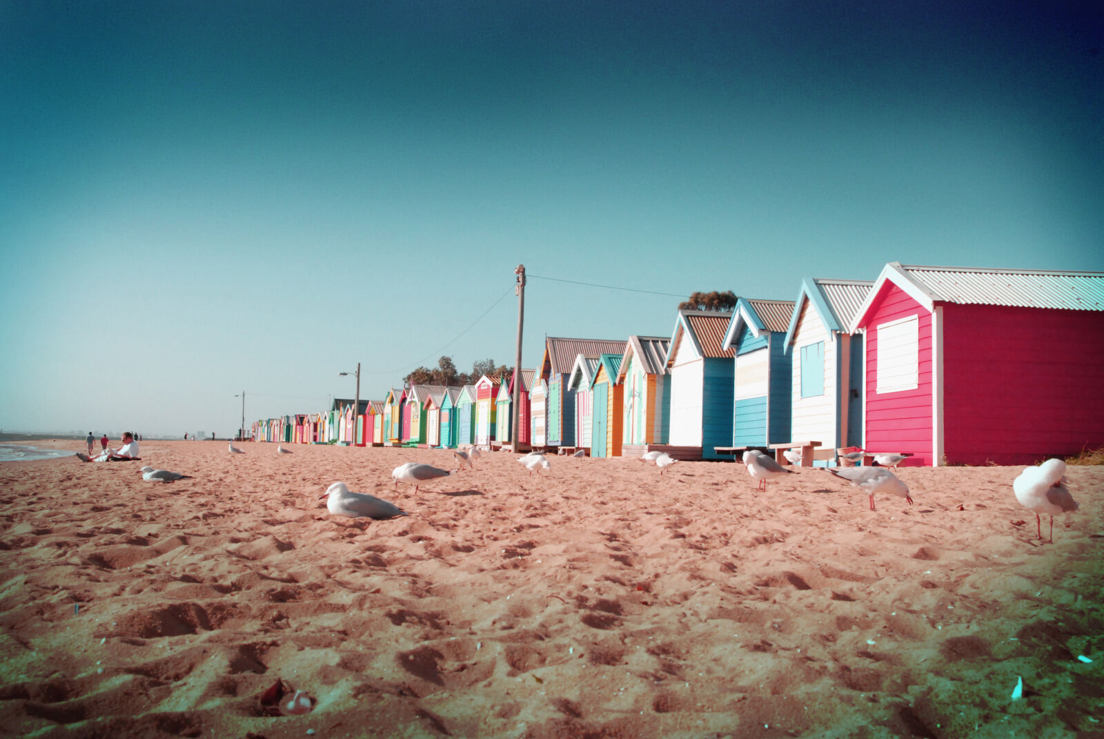 Nikon D80 sample photo. Australia, beach, melbourne photography