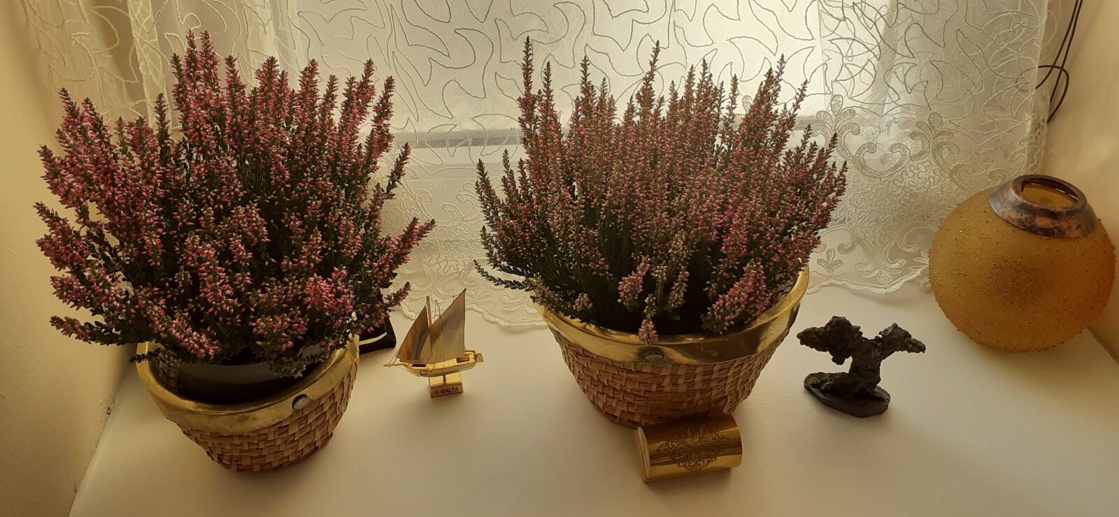 Samsung SM-A202F sample photo. Autumn, heather, nature photography
