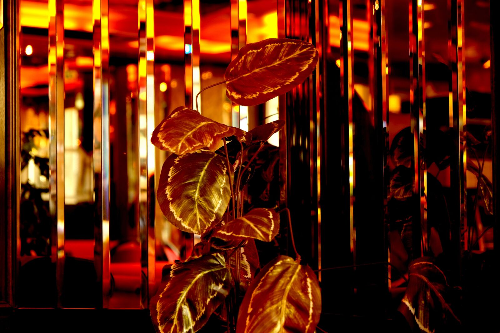 Fujifilm X-E1 sample photo. Cafe, mirror wall, mirror photography