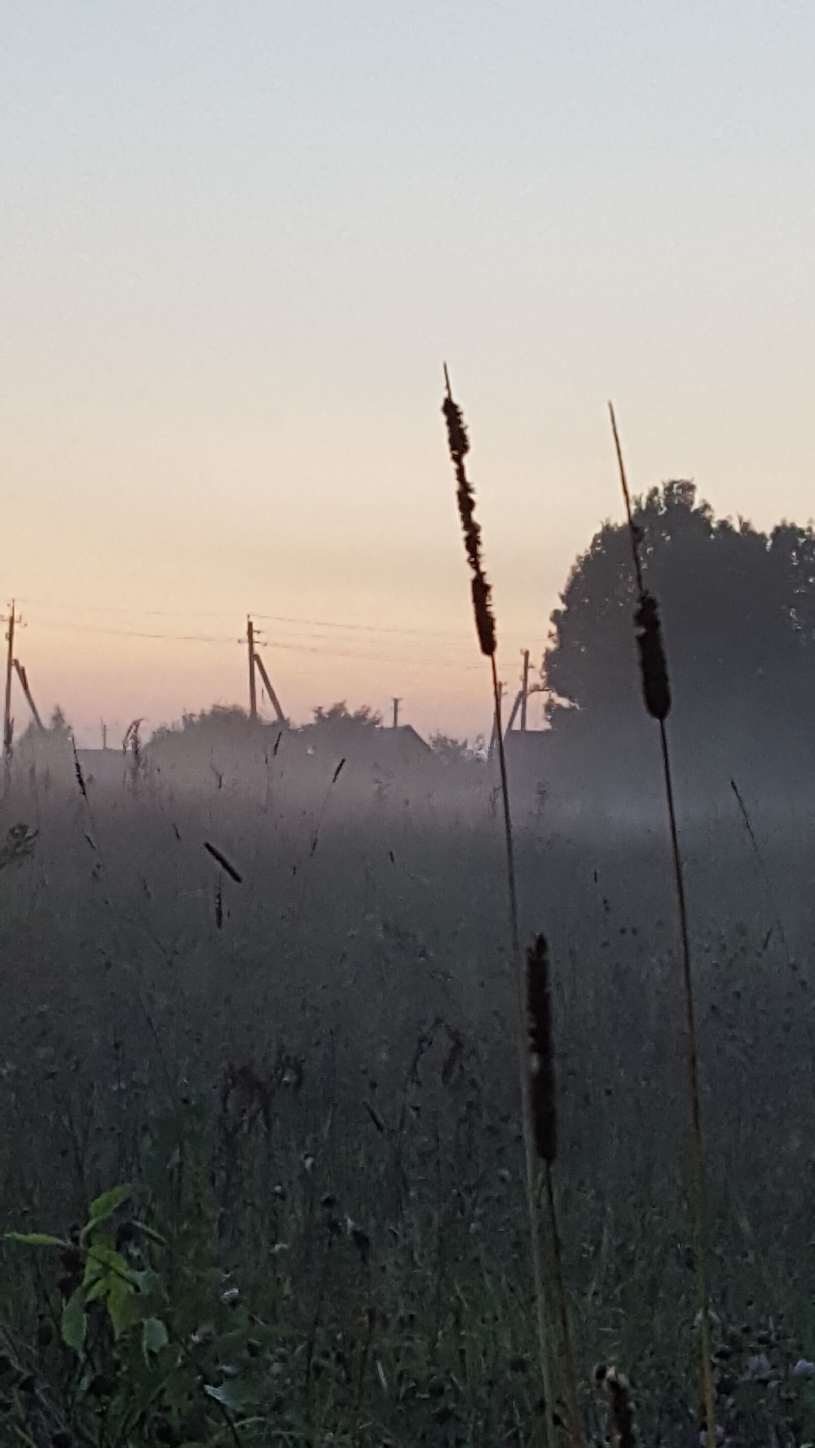 Samsung GALAXY S6 edge sample photo. Evening, august, summer photography