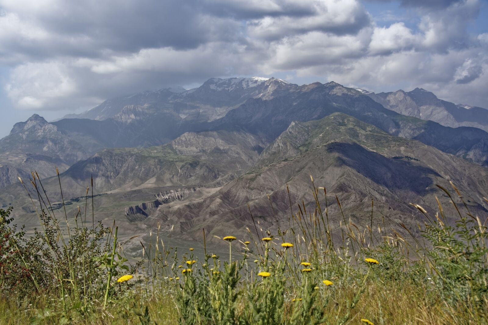 Nikon D500 sample photo. Tajikistan, province of chatlon photography