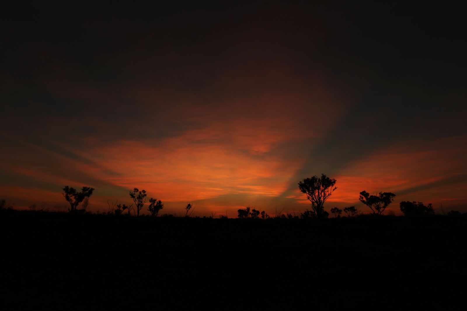 Canon EF 16-35mm F2.8L II USM sample photo. Sunset, desert, outback photography
