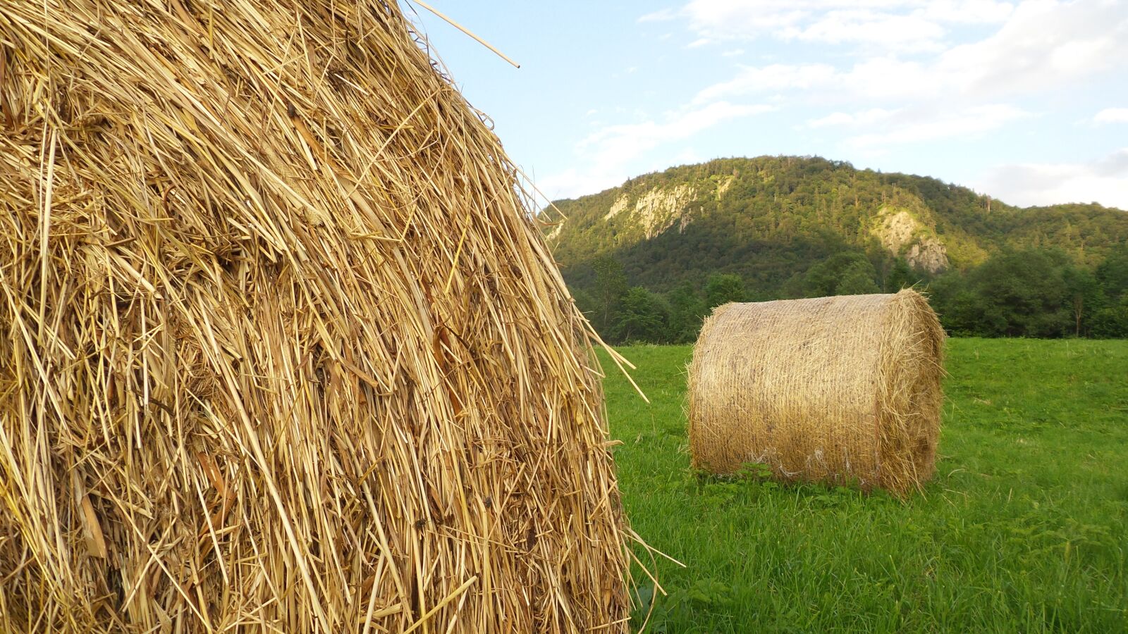 Samsung Galaxy S4 Zoom sample photo. Hay, hay bales, agriculture photography