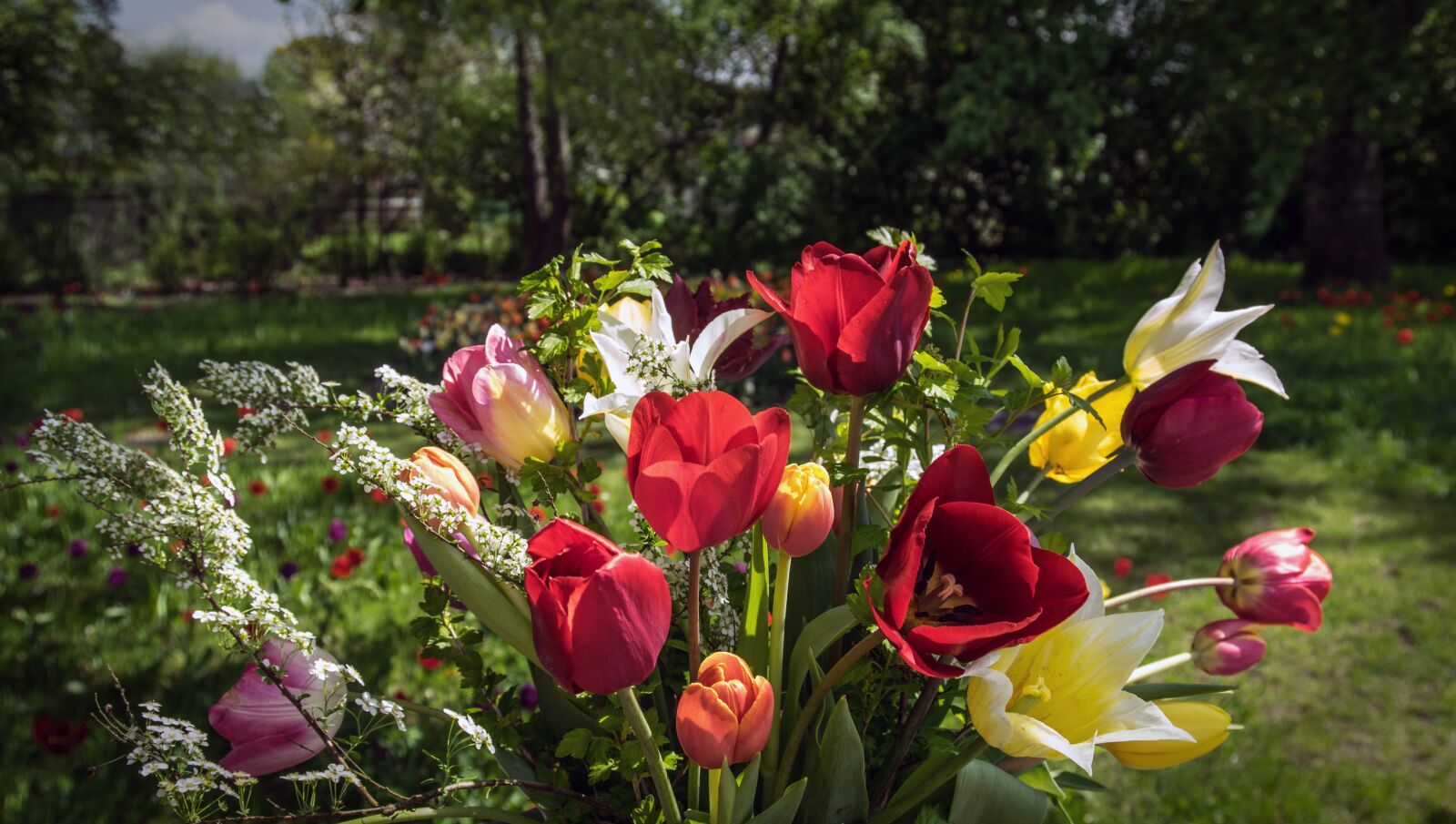 Pentax K-3 sample photo. Bouquet of flowers, tulips photography