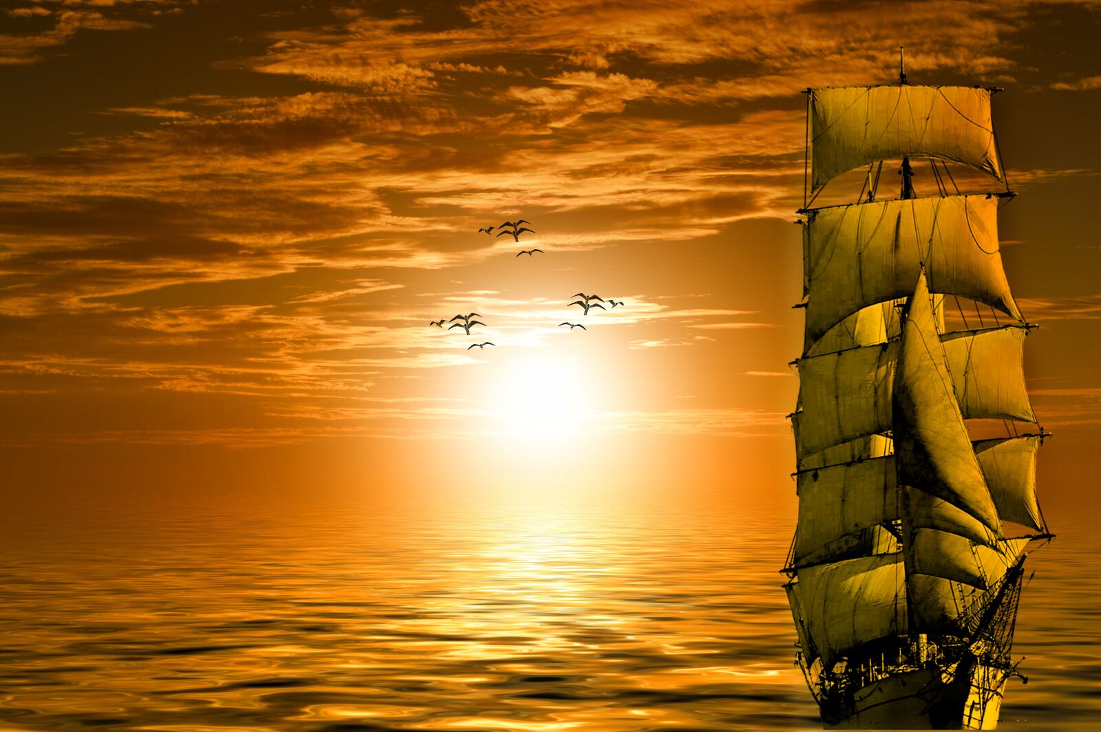 Nikon D3200 sample photo. Sun, ship, gulls photography
