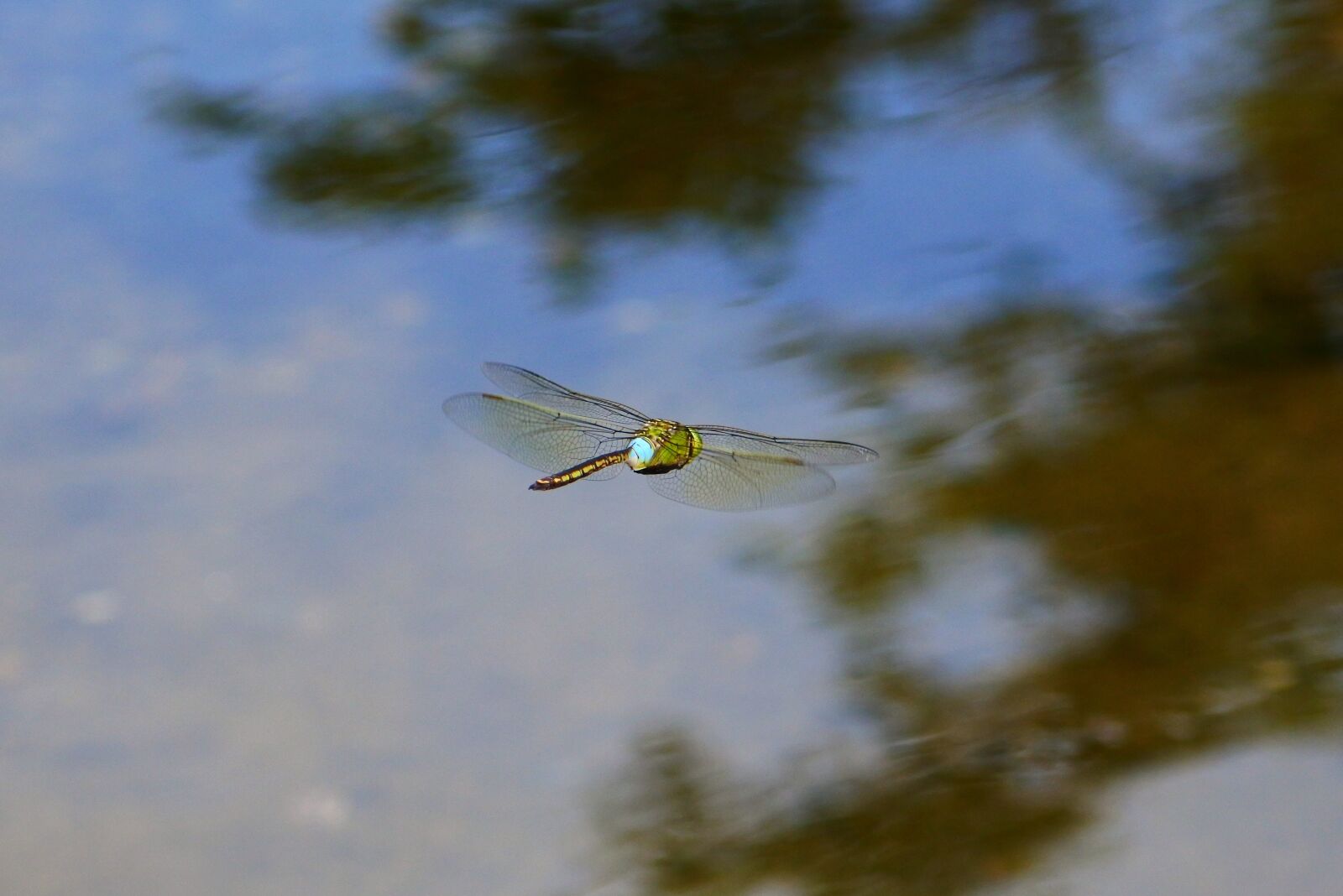 VR 70-300mm f/4.5-6.3G sample photo. Natural, landscape, pond photography
