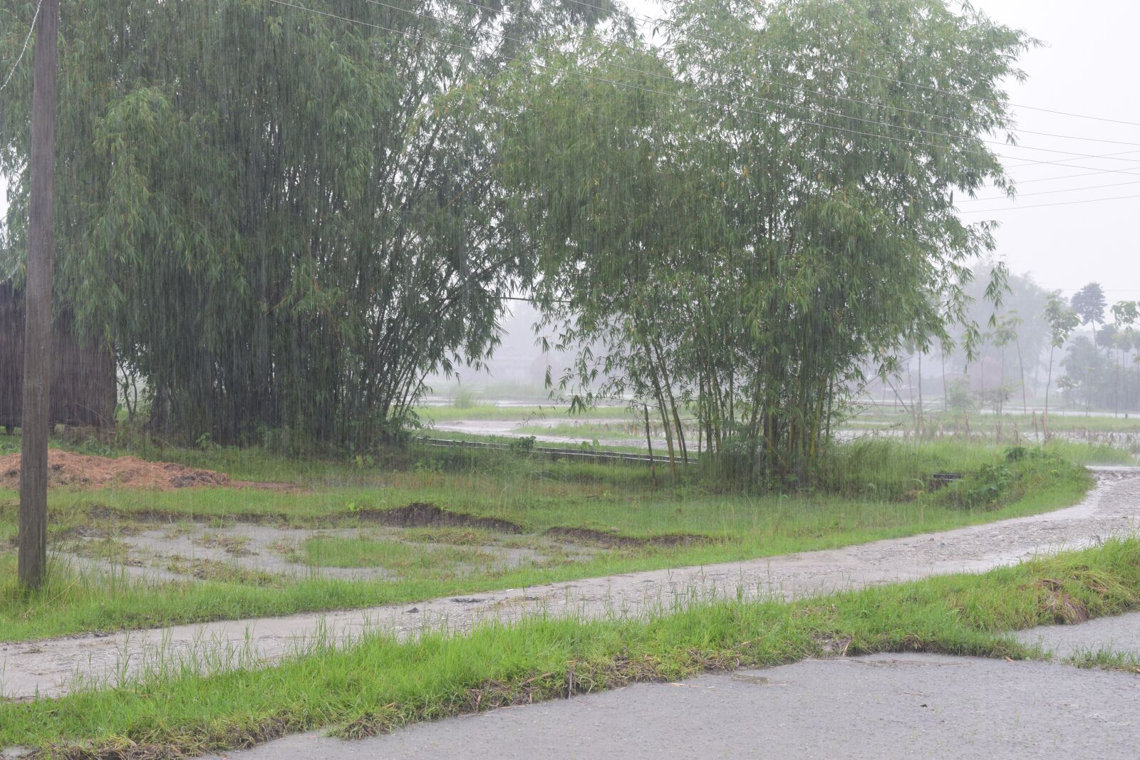 Nikon D5300 sample photo. Raining, floating, float photography