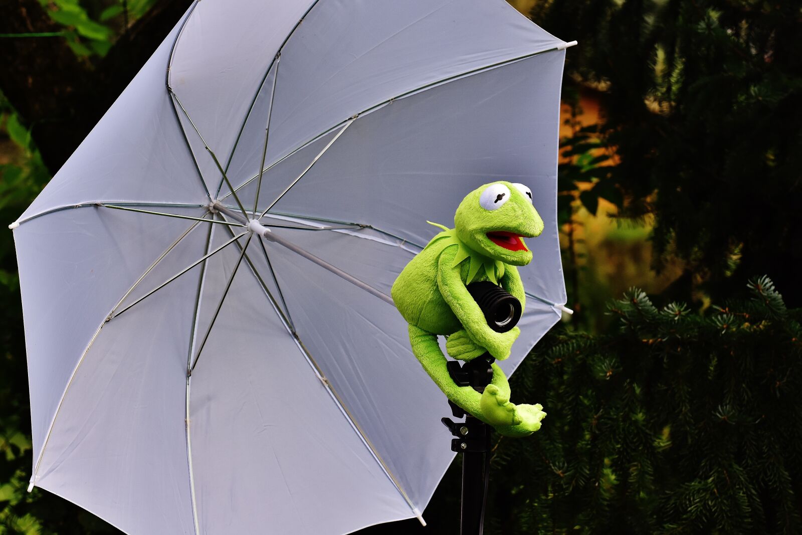 Nikon D7200 sample photo. Kermit, photo screen, frog photography