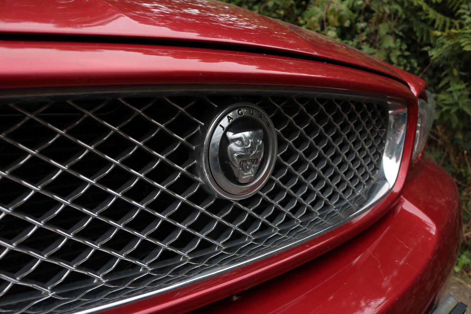 Canon EOS 750D (EOS Rebel T6i / EOS Kiss X8i) sample photo. Jaguar, auto detail, pkw photography
