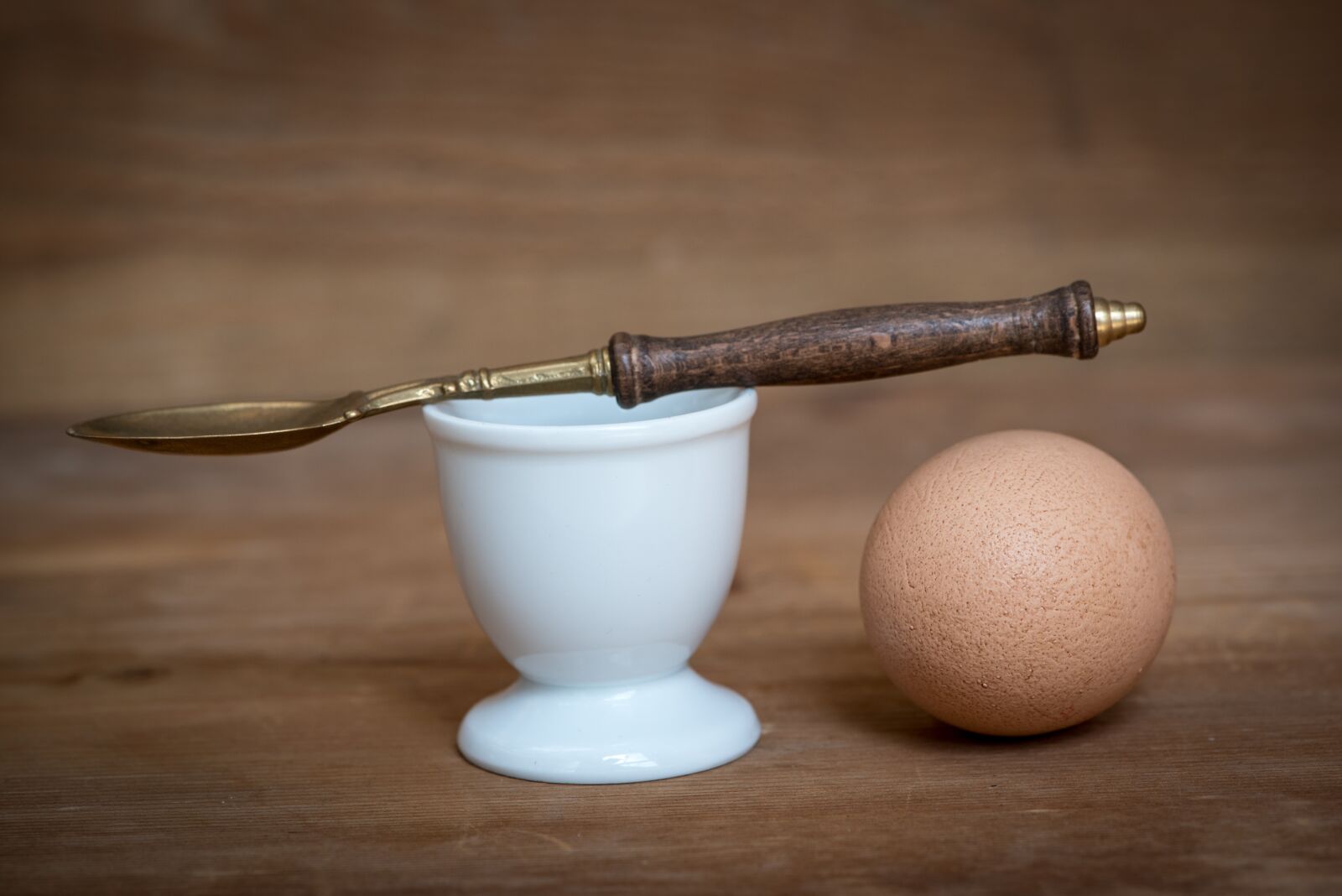 Nikon D750 sample photo. Egg, hen's egg, brown photography
