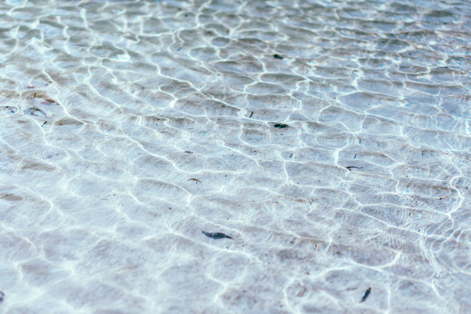 Canon EF 85mm F1.8 USM sample photo. Body, of, water photography