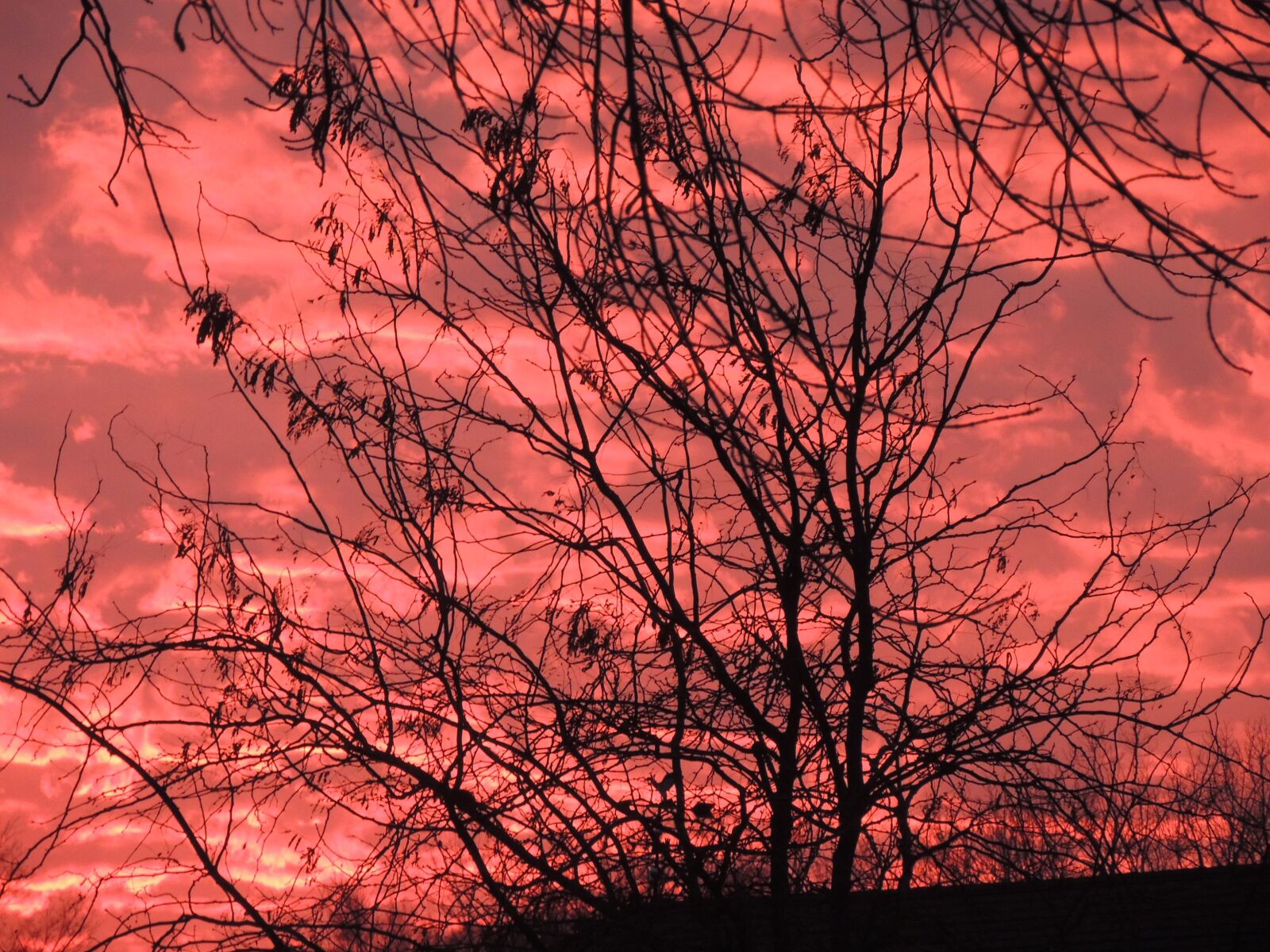 Nikon Coolpix P510 sample photo. Sky, sunset, nature photography