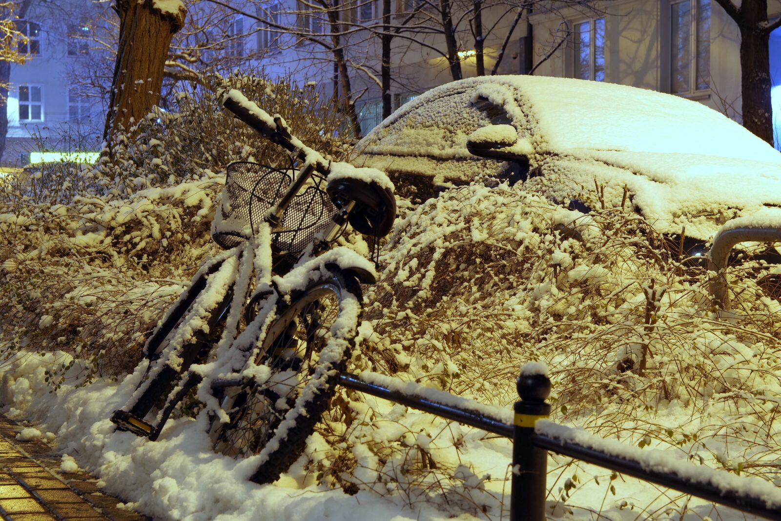 Pentax K-S2 sample photo. Winter, blizzard, snow photography