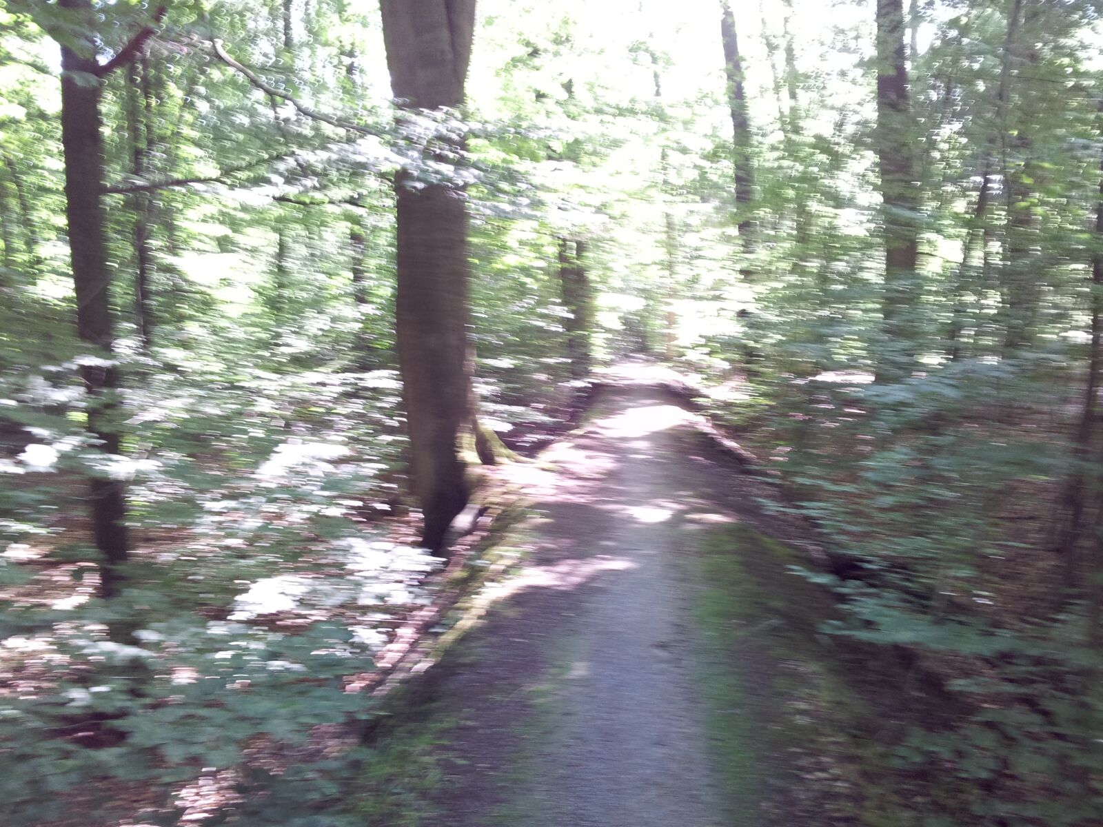 Samsung Galaxy S2 sample photo. Father p ttken, darfeld photography