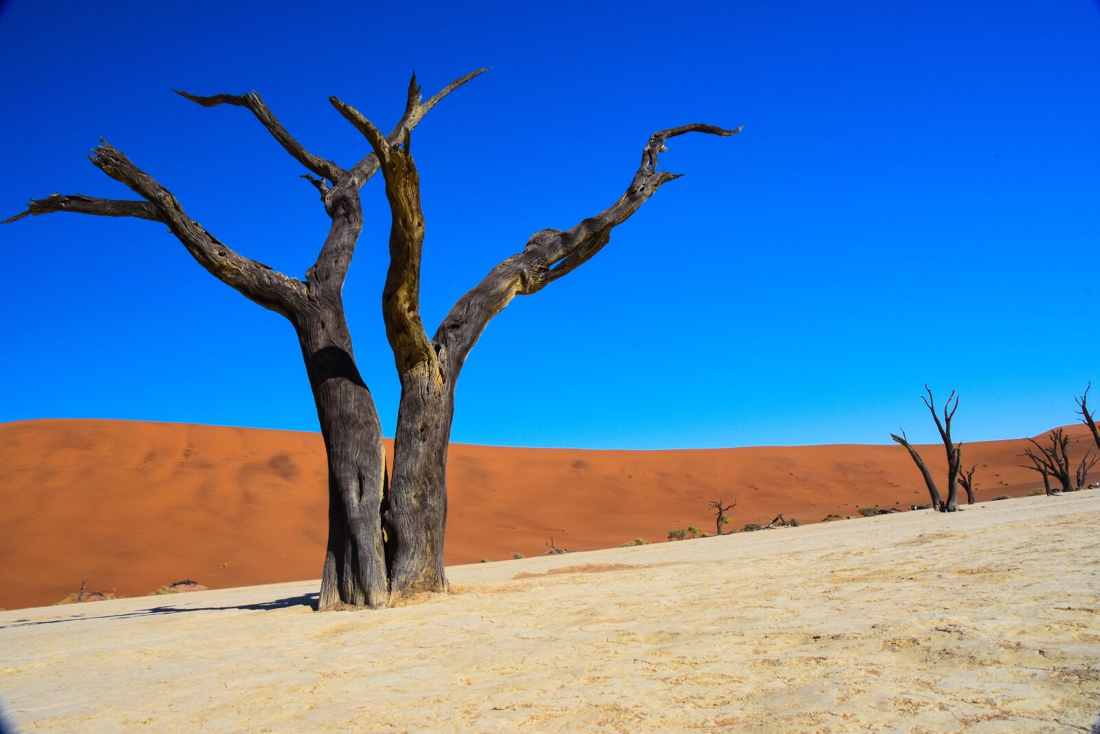 Nikon D7200 sample photo. Namibia, dead vlei, desert photography