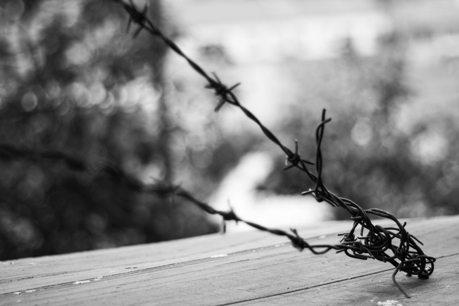 Canon EOS 700D (EOS Rebel T5i / EOS Kiss X7i) + Canon EF 50mm F1.8 STM sample photo. Wire, prison, the depth photography