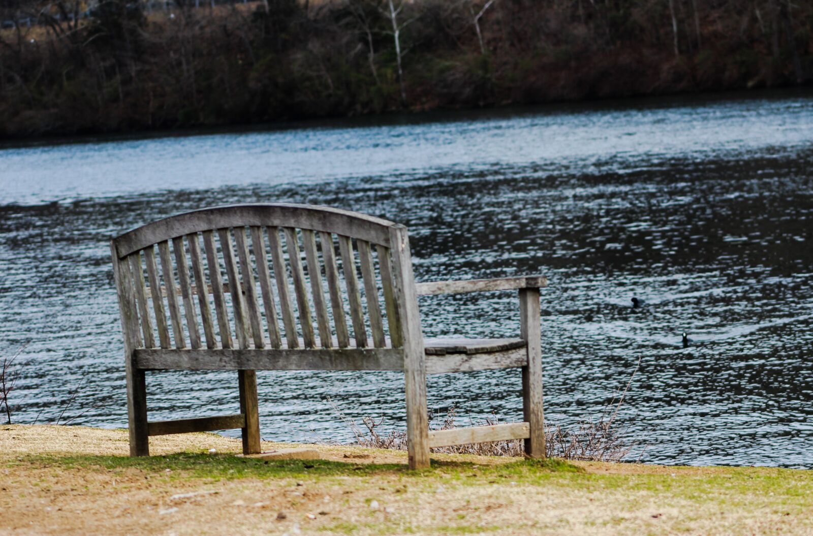 Canon EOS 1200D (EOS Rebel T5 / EOS Kiss X70 / EOS Hi) + EF75-300mm f/4-5.6 sample photo. Bench, lake, nature photography