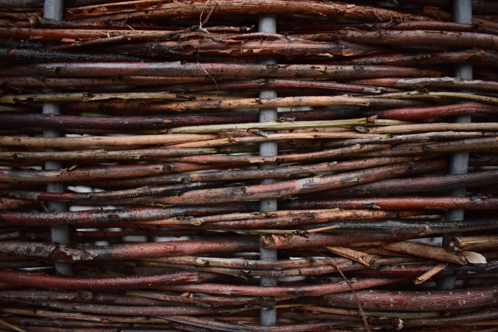 Nikon D5300 sample photo. Texture, wood, background photography