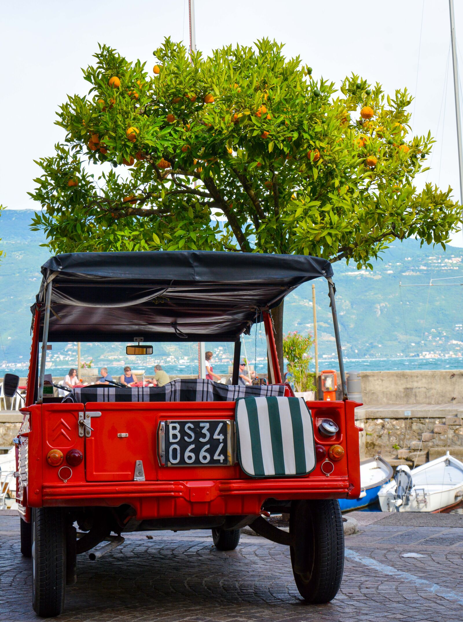 Nikon D7100 sample photo. Auto, jeep, oranges photography
