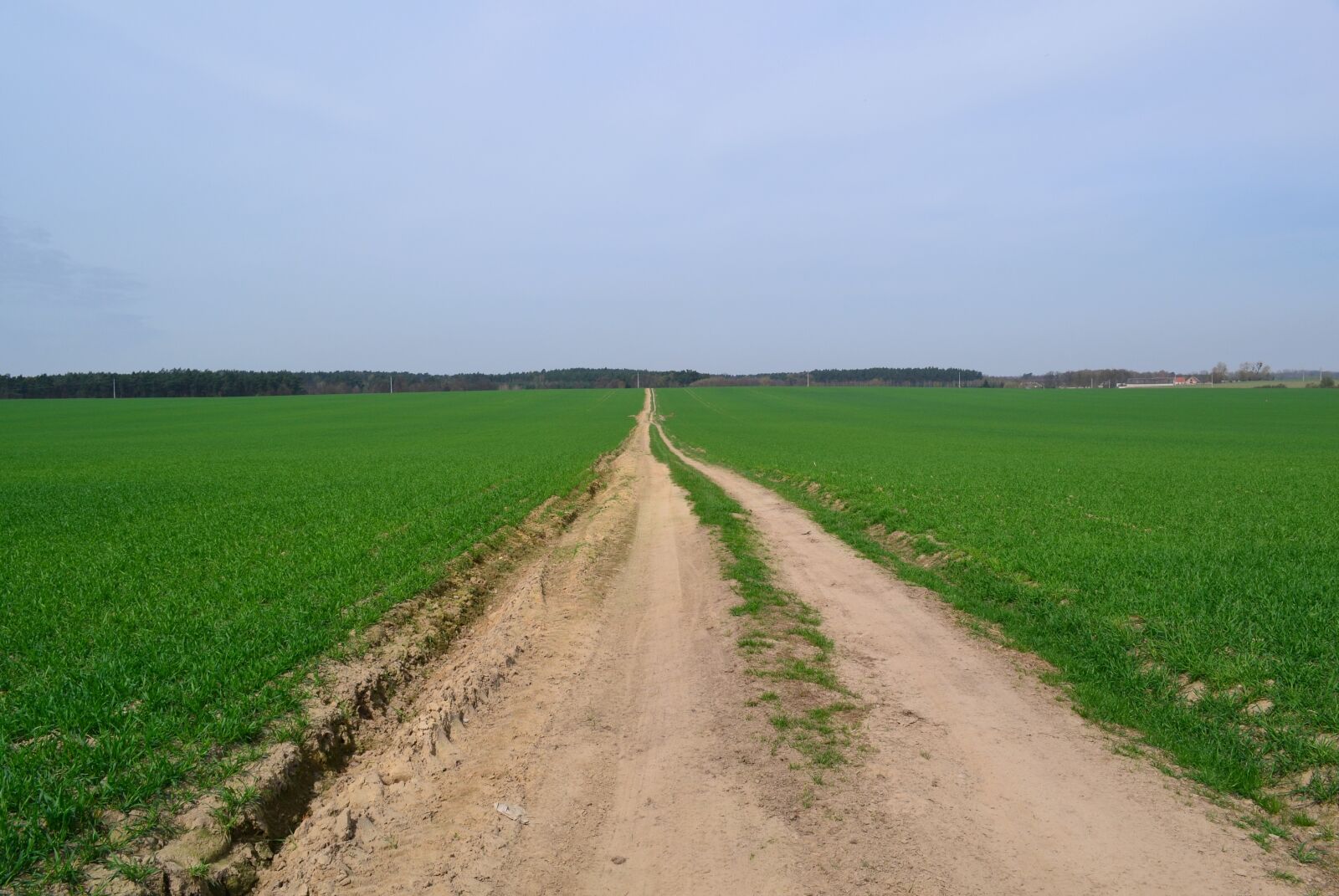 Nikon D3100 sample photo. Nature, way, landscape photography