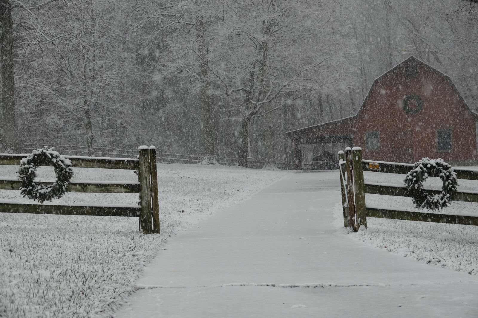 Sony Cyber-shot DSC-RX10 III sample photo. Winter, snow, barn photography
