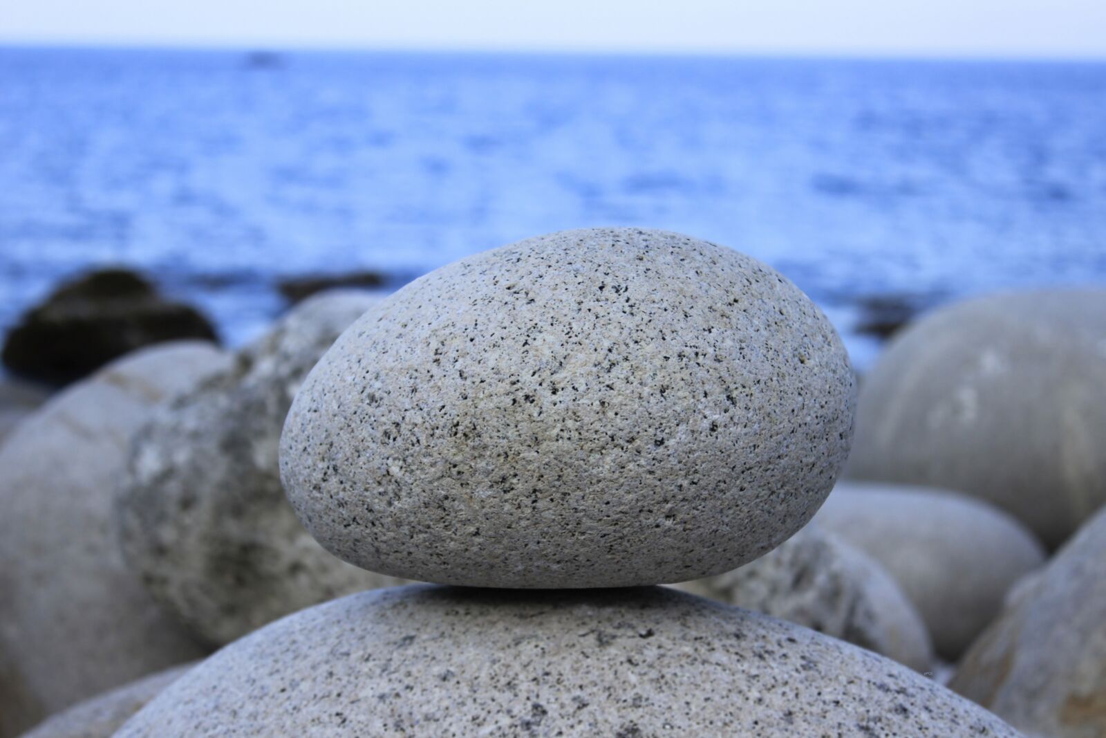 Canon EOS 600D (Rebel EOS T3i / EOS Kiss X5) sample photo. Egg reef, manic average photography
