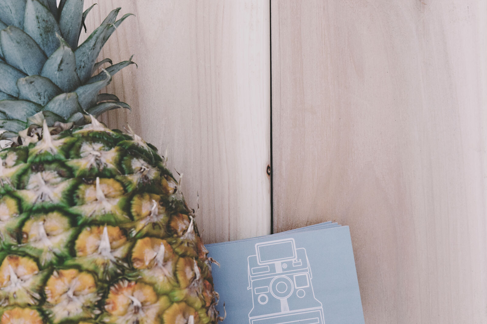 Sony a7 II + Sony FE 28-70mm F3.5-5.6 OSS sample photo. Business, cards, fruit, pineapple photography