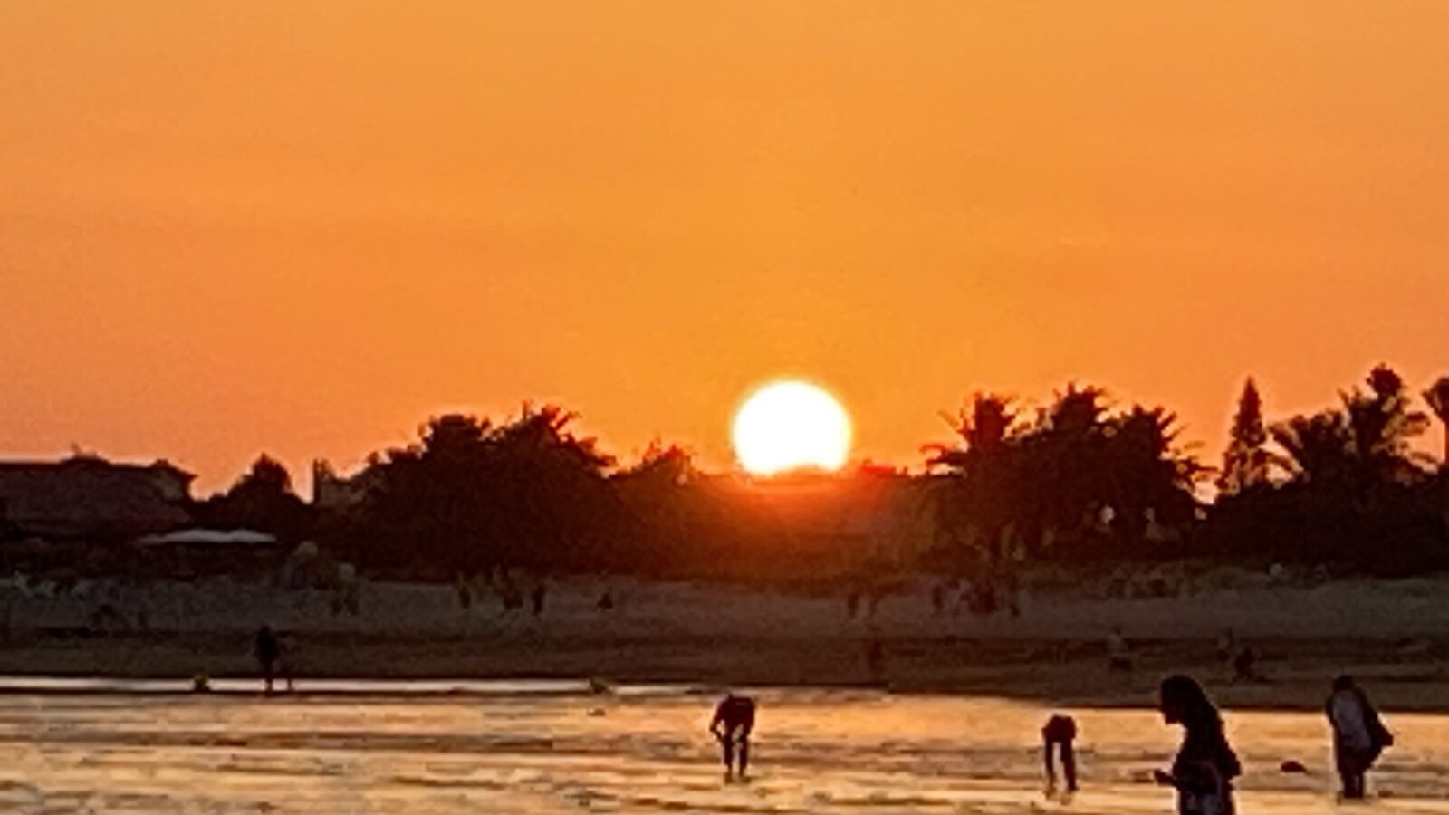 Apple iPhone 11 Pro Max sample photo. Sun, orange, beach photography