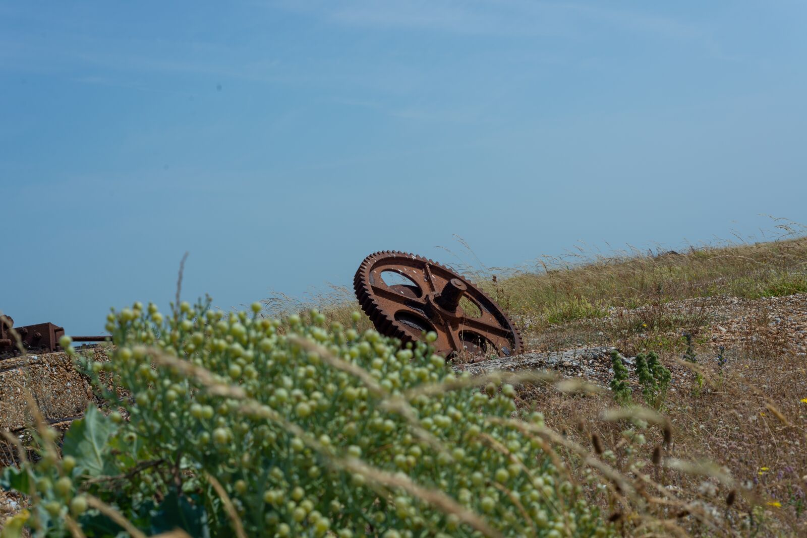 Nikon D600 sample photo. Dungeness, abandoned, wreck photography