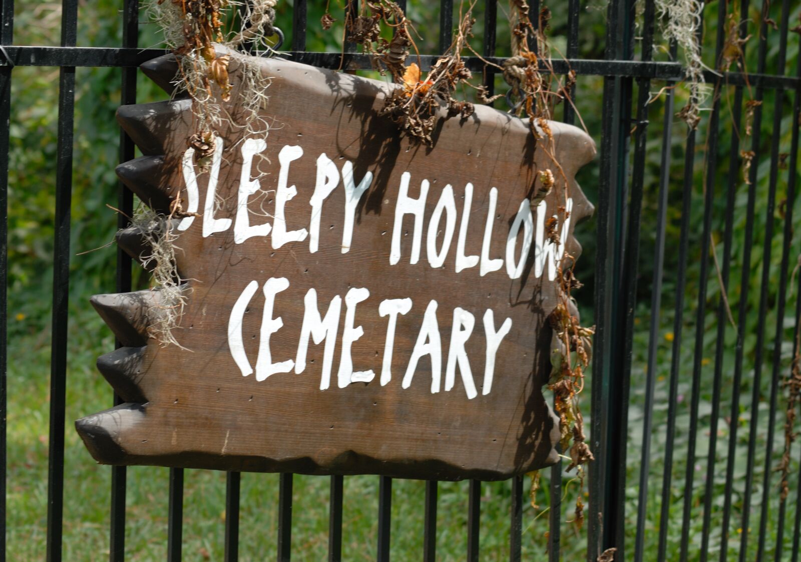 Nikon D200 sample photo. Sleepy hollow sign, cemetary photography