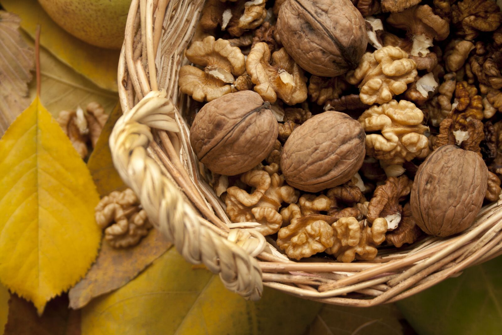 Canon EF-S 18-55mm F3.5-5.6 II sample photo. Nuts, autumn, basket photography